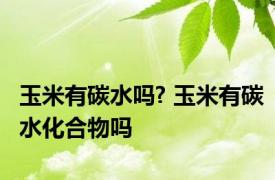 玉米有碳水吗? 玉米有碳水化合物吗