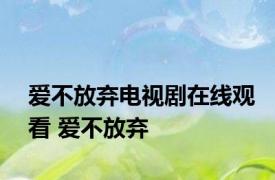 爱不放弃电视剧在线观看 爱不放弃 