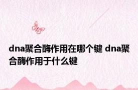 dna聚合酶作用在哪个键 dna聚合酶作用于什么键