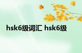 hsk6级词汇 hsk6级 