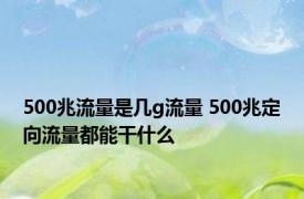 500兆流量是几g流量 500兆定向流量都能干什么