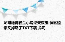 龙司绝月轻尘小说逆天双宝:神医娘亲又掉马了TXT下载 龙司 