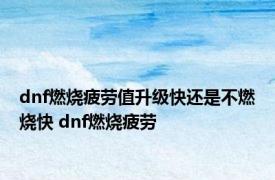 dnf燃烧疲劳值升级快还是不燃烧快 dnf燃烧疲劳 