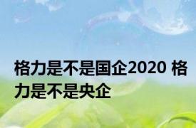 格力是不是国企2020 格力是不是央企