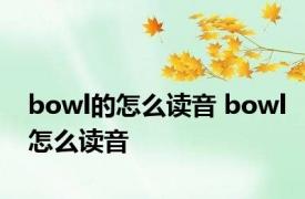 bowl的怎么读音 bowl怎么读音 