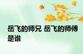 岳飞的师兄 岳飞的师傅是谁 