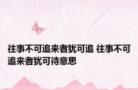 往事不可追来者犹可追 往事不可追来者犹可待意思