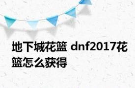 地下城花篮 dnf2017花篮怎么获得