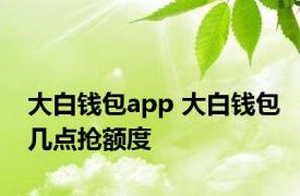 大白钱包app 大白钱包几点抢额度