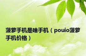 菠萝手机是啥手机（pouio菠萝手机价格）