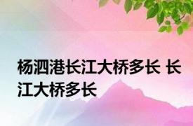 杨泗港长江大桥多长 长江大桥多长 