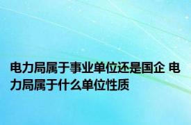 电力局属于事业单位还是国企 电力局属于什么单位性质