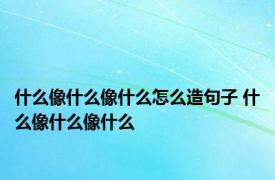 什么像什么像什么怎么造句子 什么像什么像什么 