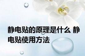 静电贴的原理是什么 静电贴使用方法