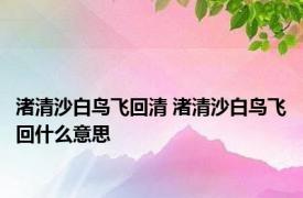 渚清沙白鸟飞回清 渚清沙白鸟飞回什么意思