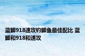 蓝鲫918速攻钓鲫鱼最佳配比 蓝鲫和918和速攻 