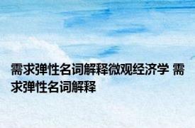 需求弹性名词解释微观经济学 需求弹性名词解释 