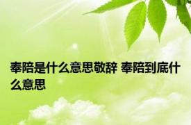 奉陪是什么意思敬辞 奉陪到底什么意思 