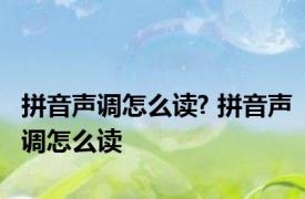 拼音声调怎么读? 拼音声调怎么读 