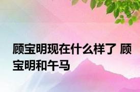 顾宝明现在什么样了 顾宝明和午马 