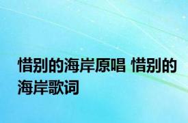 惜别的海岸原唱 惜别的海岸歌词 