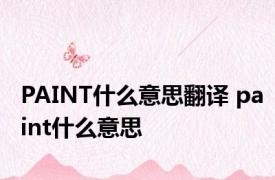 PAINT什么意思翻译 paint什么意思 