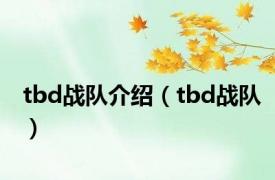 tbd战队介绍（tbd战队）