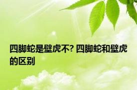 四脚蛇是壁虎不? 四脚蛇和壁虎的区别 