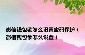 微信钱包锁怎么设置密码保护（微信钱包锁怎么设置）