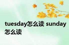 tuesday怎么读 sunday怎么读 