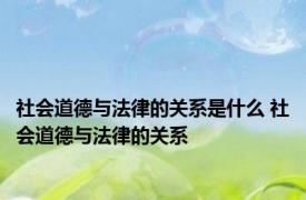 社会道德与法律的关系是什么 社会道德与法律的关系 