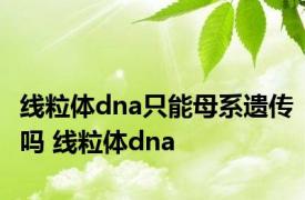 线粒体dna只能母系遗传吗 线粒体dna 