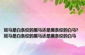 斑马是白条纹的黑马还是黑条纹的白马? 斑马是白条纹的黑马还是黑条纹的白马 