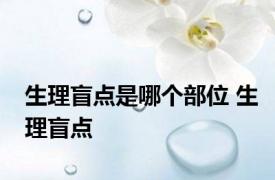 生理盲点是哪个部位 生理盲点 