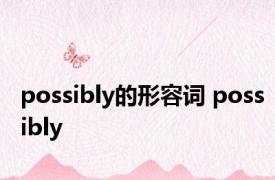 possibly的形容词 possibly 