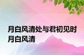 月白风清处与君初见时 月白风清 