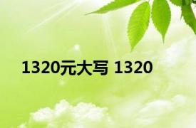 1320元大写 1320 