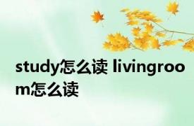 study怎么读 livingroom怎么读 