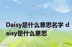 Daisy是什么意思名字 daisy是什么意思 