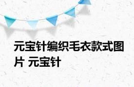 元宝针编织毛衣款式图片 元宝针 