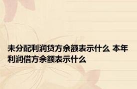 未分配利润贷方余额表示什么 本年利润借方余额表示什么