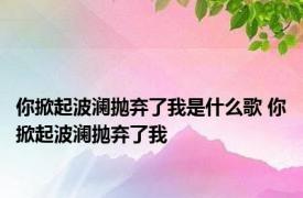 你掀起波澜抛弃了我是什么歌 你掀起波澜抛弃了我 