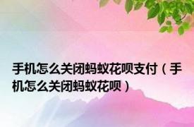 手机怎么关闭蚂蚁花呗支付（手机怎么关闭蚂蚁花呗）