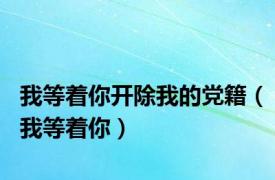 我等着你开除我的党籍（我等着你）