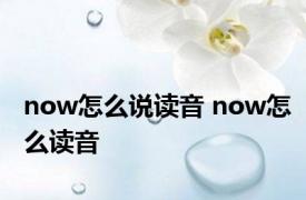 now怎么说读音 now怎么读音 