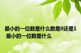 最小的一位数是什么数是0还是1 最小的一位数是什么