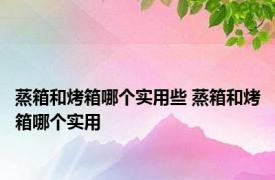 蒸箱和烤箱哪个实用些 蒸箱和烤箱哪个实用 