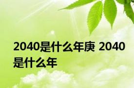 2040是什么年庚 2040是什么年