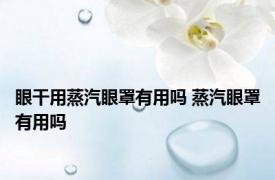 眼干用蒸汽眼罩有用吗 蒸汽眼罩有用吗 