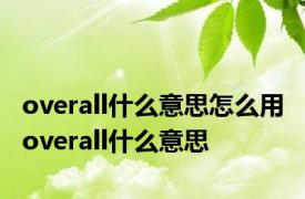 overall什么意思怎么用 overall什么意思 